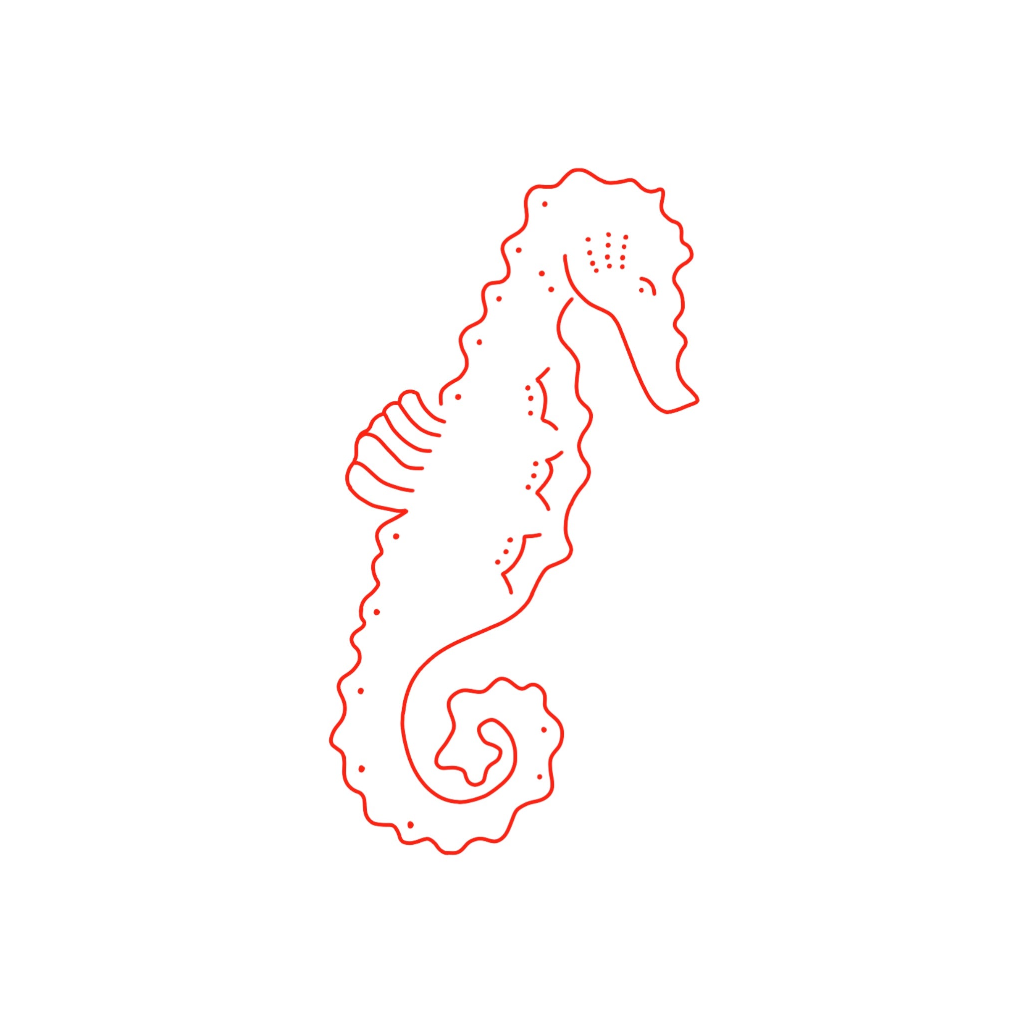 seahorse drawing outline