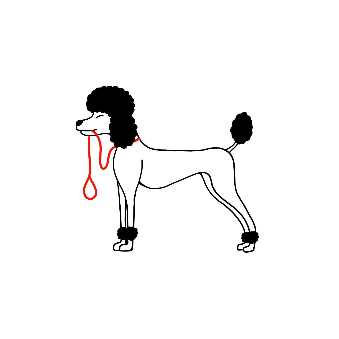 poodle